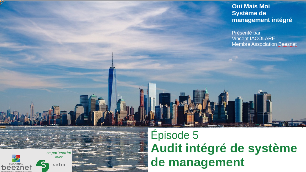 You are currently viewing Oui mais moi « Management Intégré » épisode 5 – l’audit intégré de système de management